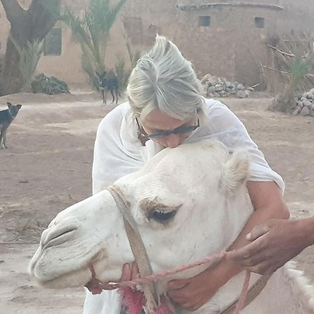 Gite Kasbah La Palmeraie Skoura Exterior foto