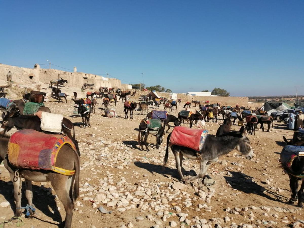 Gite Kasbah La Palmeraie Skoura Exterior foto