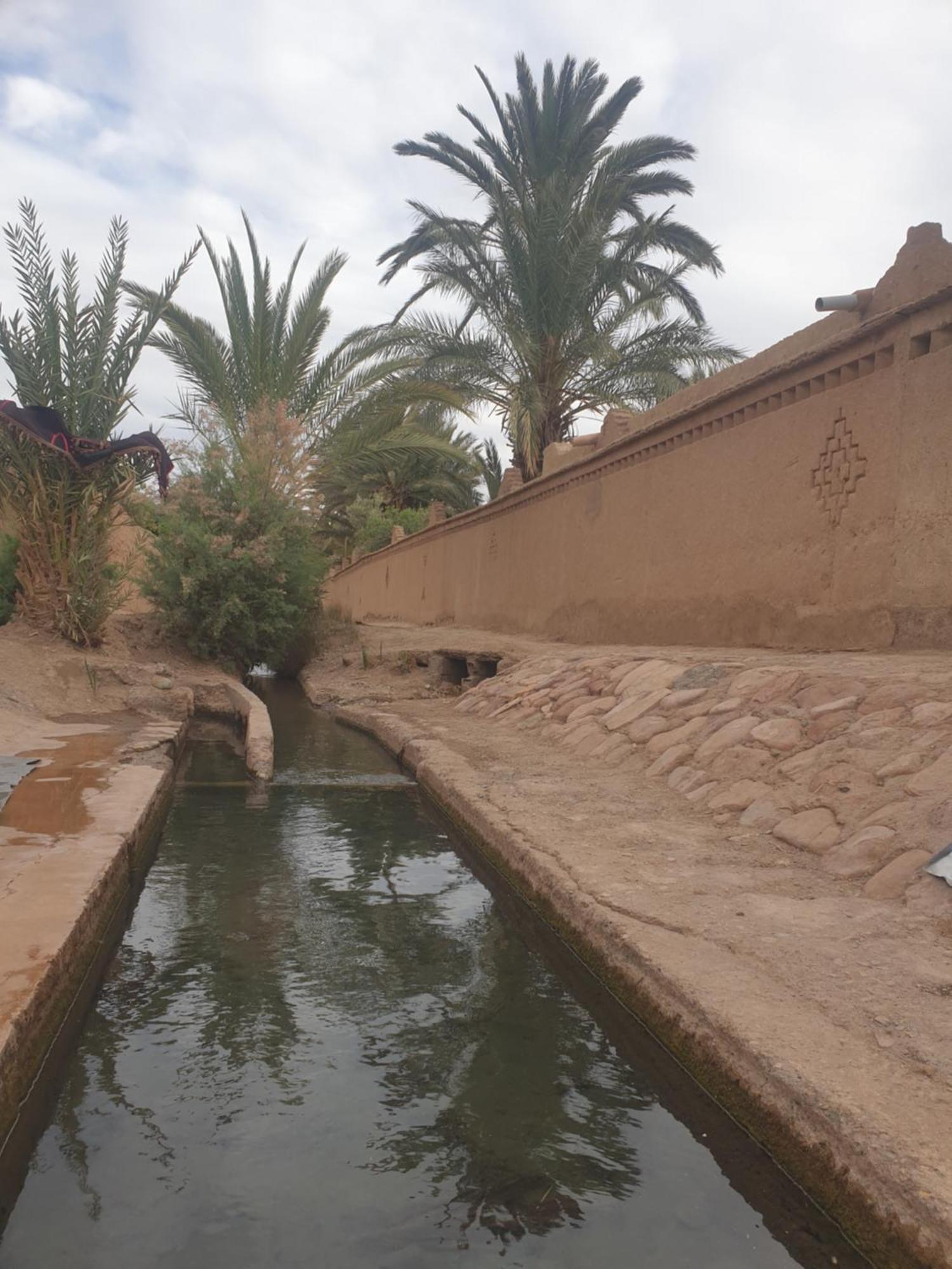 Gite Kasbah La Palmeraie Skoura Exterior foto
