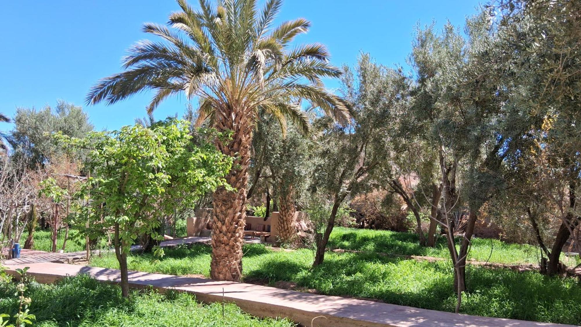 Gite Kasbah La Palmeraie Skoura Exterior foto