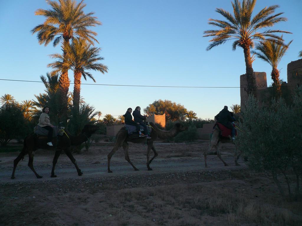 Gite Kasbah La Palmeraie Skoura Exterior foto